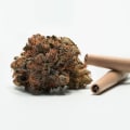 The Ultimate Guide to Opening a Dispensary in Maricopa County, Arizona