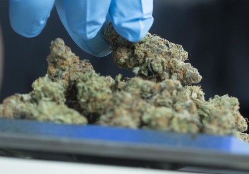 The Ultimate Guide to Dispensaries in Maricopa County, Arizona
