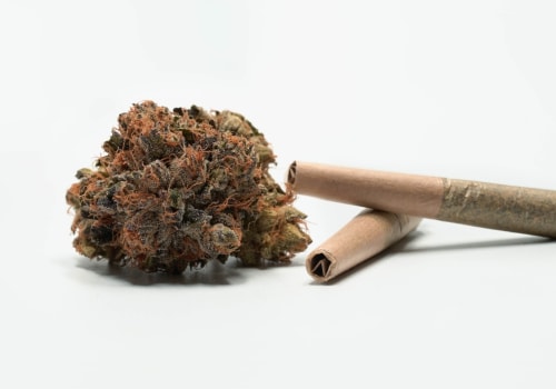 The Ultimate Guide to Opening a Dispensary in Maricopa County, Arizona